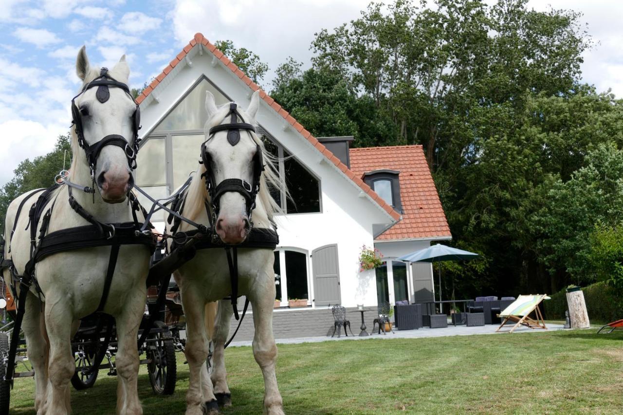 La Garonde Bed & Breakfast Boeschepe Exterior photo